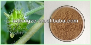 Tribulus terrestrisエキスtribulus粉末 - Product Image 4