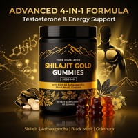 Gummies à base de Shilajit noir de l'Himalaya, complément énergétique pour hommes et femmes, bonbons gélifiés Shilajit et Ashwagandha, gummies santé