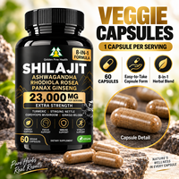 Complément OEM Shilajit Ashwagandha Rhodiola Rosea Panax Ginseng Complex en Capsules pour l'Énergie et la Vitalité – Marque Privée