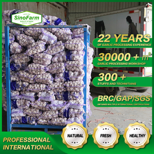 <span class=keywords><strong>Ail</strong></span> blanc frais nouvelle récolte Sinofarm 2026, 5.0cm 6.0cm, vente en gros en vrac, sac en filet <span class=keywords><strong>de</strong></span> 10kg, fournisseur d'<span class=keywords><strong>ail</strong></span> d'exportation <span class=keywords><strong>de</strong></span> Chine - Product Image 6