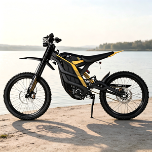 Motocicleta 79BIKE Todoterreno de 120 km de Autonomía, 10KW 72V 85km/h, Motocicleta Todoterreno para Adultos - Product Image 1