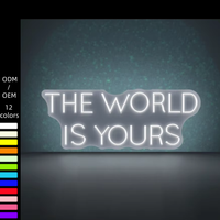Drop Shipping Nouvelle Arrivée Lettre Électronique Enseigne Flex Personnalisée Illuminée Lettres Décoration Murale Acrylique Art the World Is Yours Neon