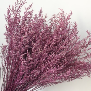 Herbe de Limonium Naturelle Préservée, Sans Nécessité d'Eau, Statice Séchée Éternelle, Décoration Bohème pour Mariage, Fête des Mères, Vase d'Intérieur - Product Image 6