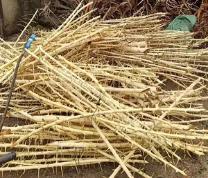 Madera Decorativa para Acuarios, Madera Flotante con Espinas para Paisajismo Acuático - Product Image 4