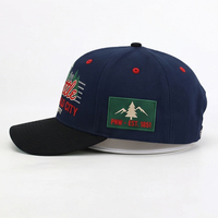 Gorras de Béisbol 2025 Bordadas con Impresión Puff, Gorras Deportivas Lisas 100% Algodón Ajustables Unisex