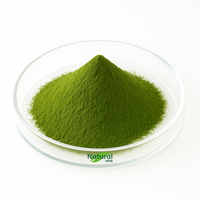 Nouvelle Poudre de Matcha Biologique de Qualité Boissons, Thé Instantané en Vrac, Thé Vert, Boissons Saines, Sachets en Gros