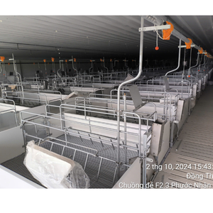 Vietnam Manufacturer's Stainless Steel Farrowing <b>Crates</b> for Newborn Pig Care Hot Selling at Reasonable Price-New Condition - Product Image 5