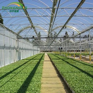 Sistema di Coltivazione Idroponica per <span class=keywords><strong>Pomodori</strong></span>/Semina, Serra Multicampata in Film con Sistema a Torre Idroponica - Product Image 1