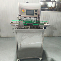 Machine de remplissage isobare automatique pour canettes en aluminium, avec contrôle PLC CO2, pour bière artisanale, jus et eau pétillante - Ventes directes usine