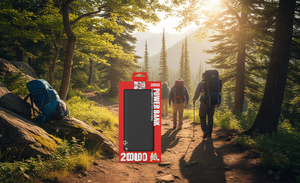 Power Bank Wiwu 20000mAh Batteria Li-Polymer con Ingresso e Uscita Type C Presa Universale - Product Image 2