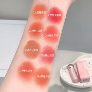 Velours mat soyeux fixateur de couleur brume solide lèvre boue délicate finition mate OEM étanche longue durée brillant à lèvres - Product Image 5