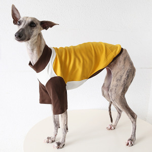 Camiseta de Verano Informal de Algodón <span class=keywords><strong>con</strong></span> Extracto de Hielo Maillard de Petstyle para Perros Grandes XL, Ropa para Mascotas para <span class=keywords><strong>Galgo</strong></span> Italiano Whitebit - Product Image 3