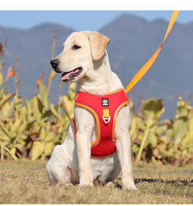 Arnés de seguridad para perro, accesorio ligero y personalizado, suave, ajustable, acolchado, capa de aire, con correa de goma, nuevo - Product Image 2