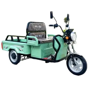 Semi-closed electric tricycle hauling semi-top load king simple shed cargo best quality tricycle electric motor kit