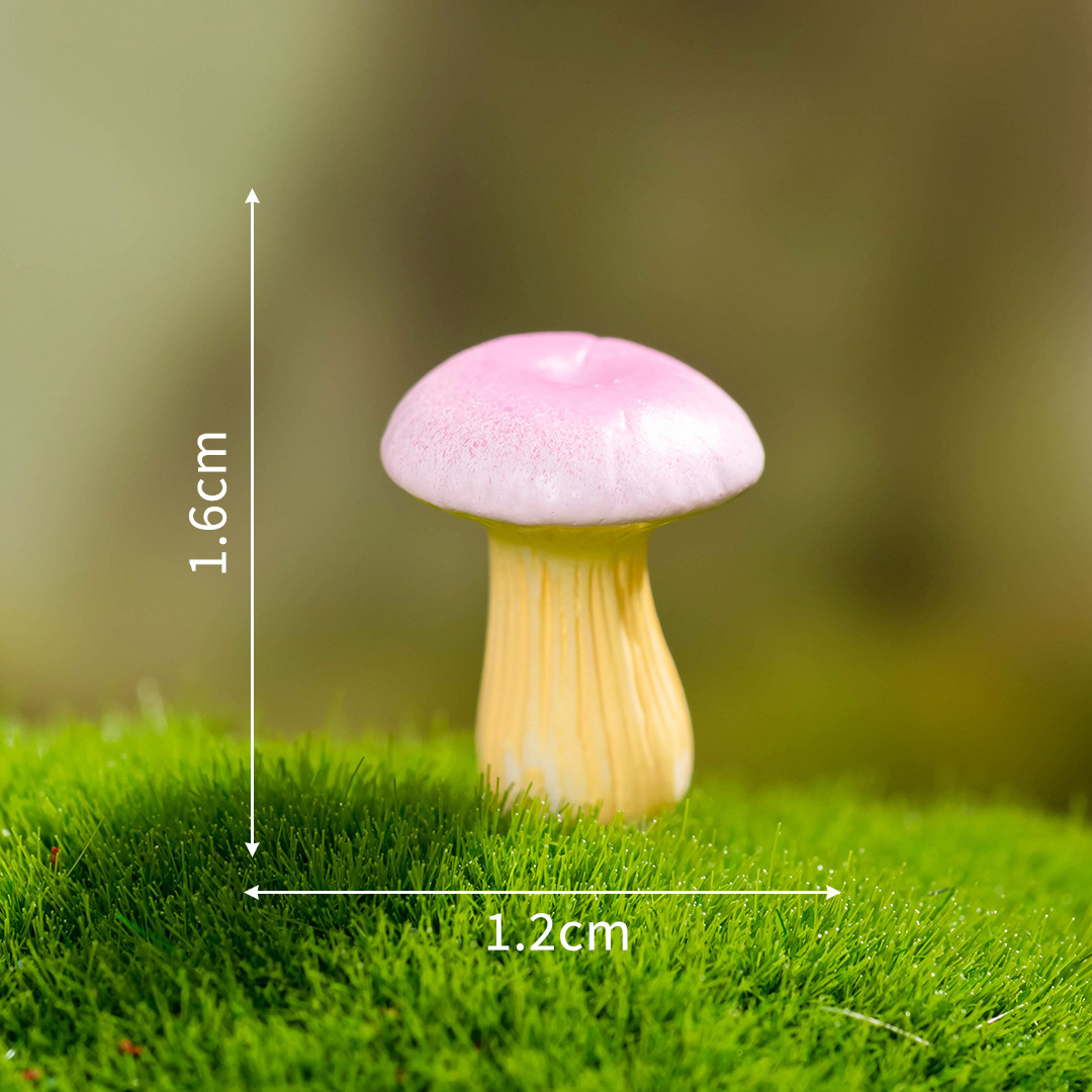 No 3-dream mushroom