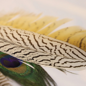 Penna a sfera in piuma di pavone di pavone vogn - Product Image 4