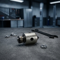 Premium SIEMENS Fuel Delivery Valve High Precision For Injection Pump Diesel Engine Stainless Steel 18x18x35mm