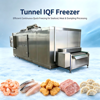 Industriële continue IQF-tunnelvriezer met PLC-besturing, automatische hoge productiviteit, -40°C lage temperatuur, voor de verwerking van diepvriesproducten in een fabriek.