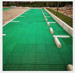 Giá thấp bán lẻ khu dân cư trường cháy khẩn cấp làn đường gia cố thấm nhựa cỏ lưới với báo cáo thử nghiệm leed - Product Image 2