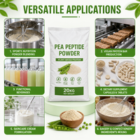 Poudre de Peptide de Pois 100% Naturelle de Qualité Alimentaire, Protéine Hydrolysée à Haute Absorption pour Barres Nutritionnelles et Améliorateurs de Nutrition Santé