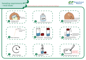 Prix du thermocycleur PCR de laboratoire vétérinaire GN 7000, machine de <span class=keywords><strong>test</strong></span> <span class=keywords><strong>ADN</strong></span> pour chats et chiens - Product Image 4