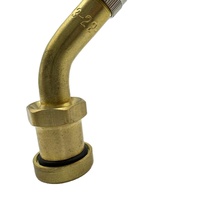 V3-22-1 Precio de fábrica Tapas y adaptadores de válvula de latón sin cámara de sujeción para neumáticos de camión y coche para tratamiento