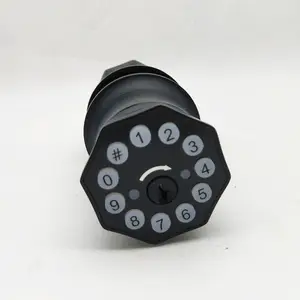 Guangdong Intelligent Electronic Smart Door Lock with Deadbolt Knob Push Button