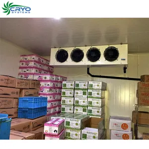 Cámara frigorífica pequeña <span class=keywords><strong>de</strong></span> <span class=keywords><strong>miami</strong></span>, almacenamiento en frío <span class=keywords><strong>de</strong></span> la pata <span class=keywords><strong>de</strong></span> pollo grado a - Product Image 1