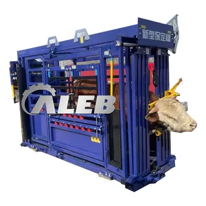 best selling horse cattle head bales cattle handling equipment