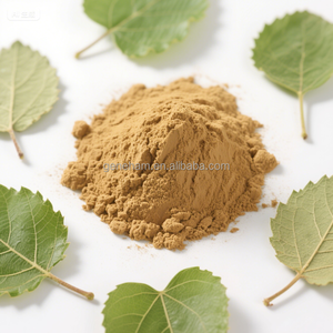 Halal chứng nhận trắng hữu cơ dâu tằm lá chiết xuất bột 0.5% 1-deoxynojirimycin Nhà Máy chiết xuất sản phẩm - Product Image 4