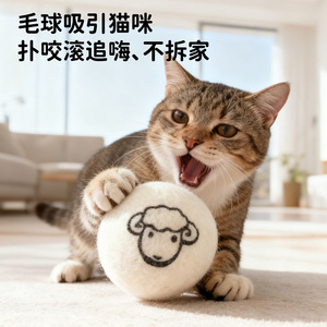 Maoxinbao Wool Ball 5Cm Interactive <b>Cat</b> Toy For Teething And Play - Product Image 4