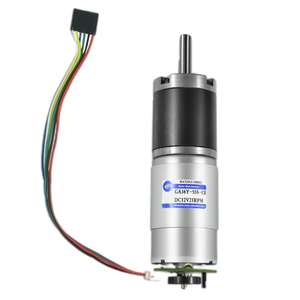 Motor Planetario XYT GA36Y-555 555 520 528 3650 PMDC de 36 mm, Motor de CC de <span class=keywords><strong>12</strong></span> <span class=keywords><strong>V</strong></span> 24 <span class=keywords><strong>V</strong></span> de Alta Velocidad con Escobillas, <span class=keywords><strong>Motorreductor</strong></span> de Precisión para Scooter - Product Image 5