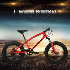 Vélo de montagne Beinaiyi 20 pouces avec pneus larges de 4,0 pouces, fourche à suspension, jantes en alliage d'aluminium, unisexe pour enfants - Product Image 1