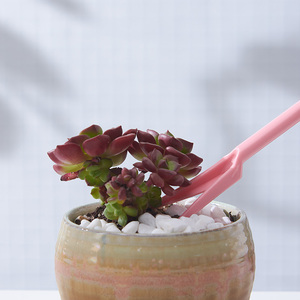 Dụng cụ làm vườn cây giống nâng lên hạt giống trồng công cụ đấm thiết bị cấy ghép - Product Image 4