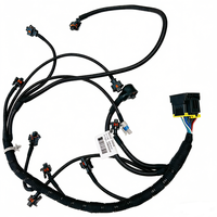 Arnés de Cableado de Inyección de Combustible para Motor, ODM OEM