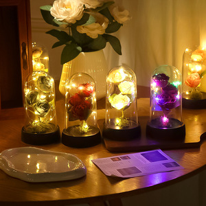 <span class=keywords><strong>Rose</strong></span> artificielle, œillet, fleur éternelle, ornement, lumière nocturne créative LDE, cadeau de Noël, décoration de chevet de dortoir, vente en gros - Product Image 4