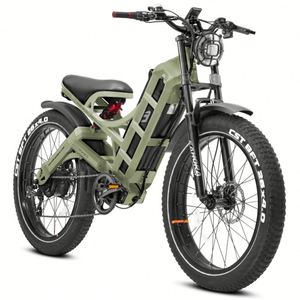 Bicicleta Eléctrica Eahora de Doble Motor, 48V, Neumáticos Anchos, 60Ah, 250W, Potencia Personalizada, 100Nm de Torque, Romeo, Stock en EE. UU., Canadá y la UE, Envío Gratuito, Romeo Pro - Product Image 1