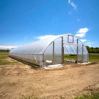 Serre Agricole à Structure Métallique pour Horticulture, Serre Tropicale, Prix