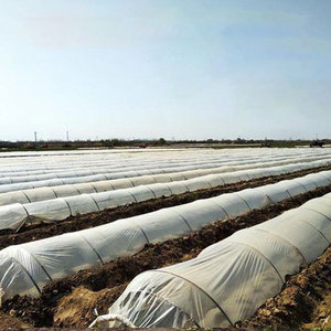 Small Arched Greenhouse Plastic Film 0.02mm Thickness White PE Film For Vegetable Planting Agricultural Heat Preservation - Product Image 2
