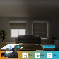 Stores romains sur mesure filtrant la lumière en tissu lin, motorisés sans fil, intelligents WiFi Tuya Alexa pour salon, fenêtre, porte-fenêtre