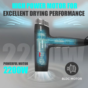 ไดร์เป่าผมแบบมืออาชีพ 2200W ของผู้ผลิต พร้อมมอเตอร์ BLDC เสียงเบา หัวเป่าแบบไอออนิก - Product Image 2