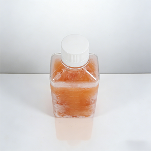 Suero Fetal <span class=keywords><strong>Bovino</strong></span> (Caracterizado) ACE Vitro OEM de 500 ml FBSC01 Libre de Virus Mycoplasma para Cultivo Celular - Product Image 5