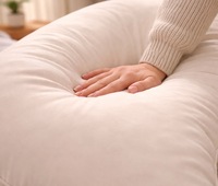 Oreiller de soutien post-partum en Tencel doux pour la peau, grand format en C, pour lit, anti-statique, portable, lavable en machine