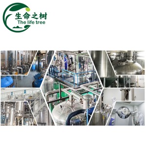 Conservateur alimentaire de qualité alimentaire, directement de l'usine, pour légumes marinés et kimchi, prolongeant la durée de conservation et anti-surfermentation - Product Image 5