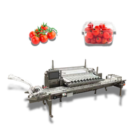High-Output Weeg-En Verpakkingsmachine Voor De Sorteermachine Van Bosbessenkersen Tomaat Voor Fruitproducenten
