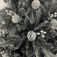 Sapin de Noël artificiel noir avec baies blanches et cônes de pin, support métallique, idéal pour la décoration de la maison, des fêtes d'hiver et des événements gothiques.