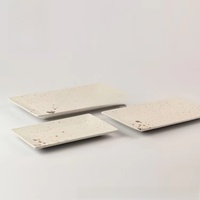 Ensemble d'assiettes rectangulaires en porcelaine écologique pour restaurant, hôtel, pour servir des sushis et des plats de poisson