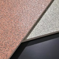 Carrelage en céramique extérieur moderne et minimaliste, finition Litchi, écologique, 18 mm d'épaisseur, style Plaza, mat, pour aménagement paysager