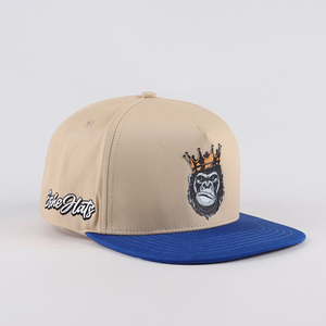 หมวกสแนปแบคแบบทูโทนสีทำจากผ้าฝ้าย Cap100 % 5แผงหมวกปีกแบนหมวกโลโก้แบบกำหนดเอง - Product Image 4