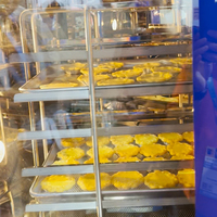 Horno Profesional 2 en 1 con 5 Bandejas, Horno Rotatorio de Aire Caliente con Fermentadora Integrada, Horno de Convección Apilable para Hornear Pan, Pasteles y Repostería